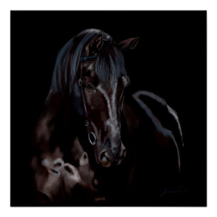 Póster Horse Blackas Midnight