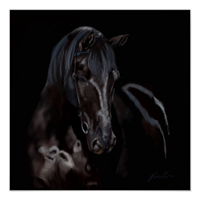 Póster Horse Blackas Midnight (Anverso)