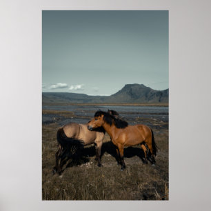 PÓSTER HORSE COUPLE