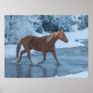 Póster Horse Drive in Winter on Hideout Ranc