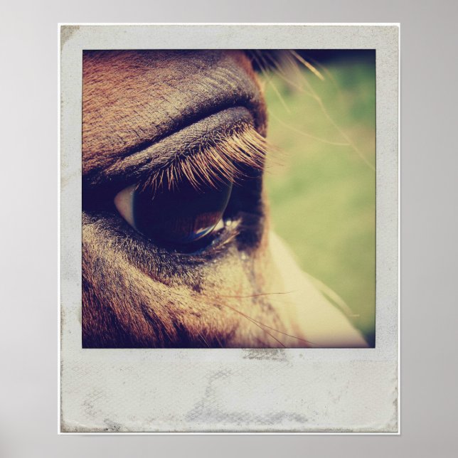 Póster Horse Eye (Frente)