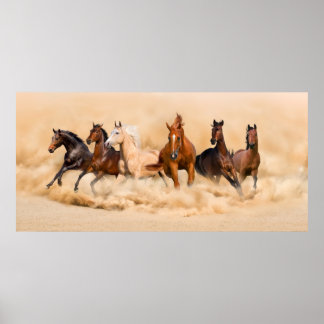 Póster Horse herd run in desert sand storm