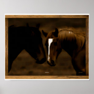 Póster horse mates
