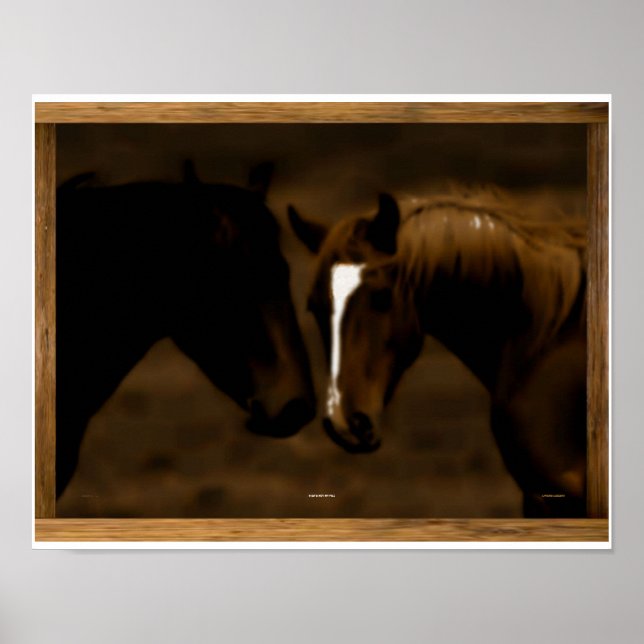 Póster horse mates (Frente)