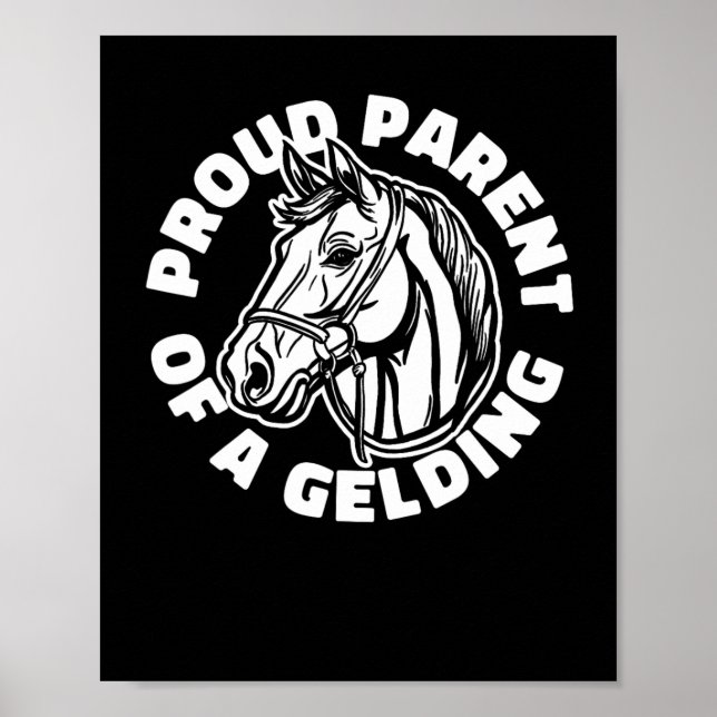 Póster Horse Rider Gelding - Caballo de caballo (Frente)