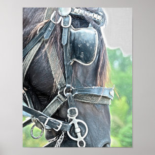 Póster Horse Rústico Occidental Estilo de País Verde Marr