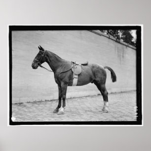 Póster Horse Show 1912