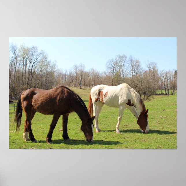 Póster Horses (Frente)
