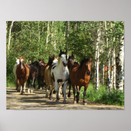 Póster Horses Aspens New Mexico Poster