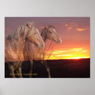Póster Horses in Sunrise Poster