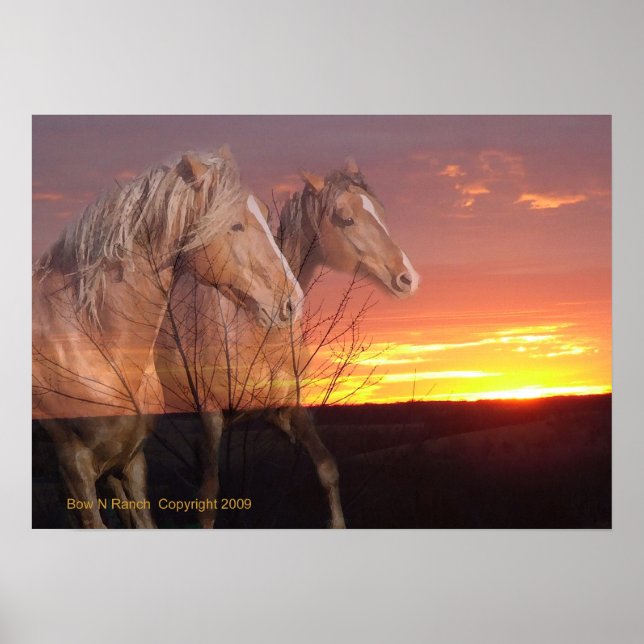 Póster Horses in Sunrise Poster (Frente)