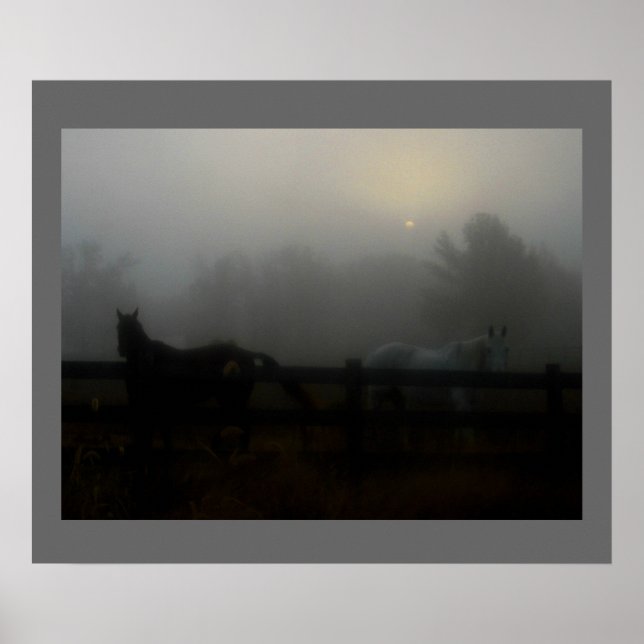 Póster Horses in the Fog (Frente)