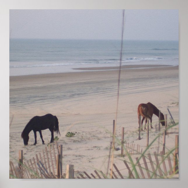 Póster Horses in the Sand (Frente)