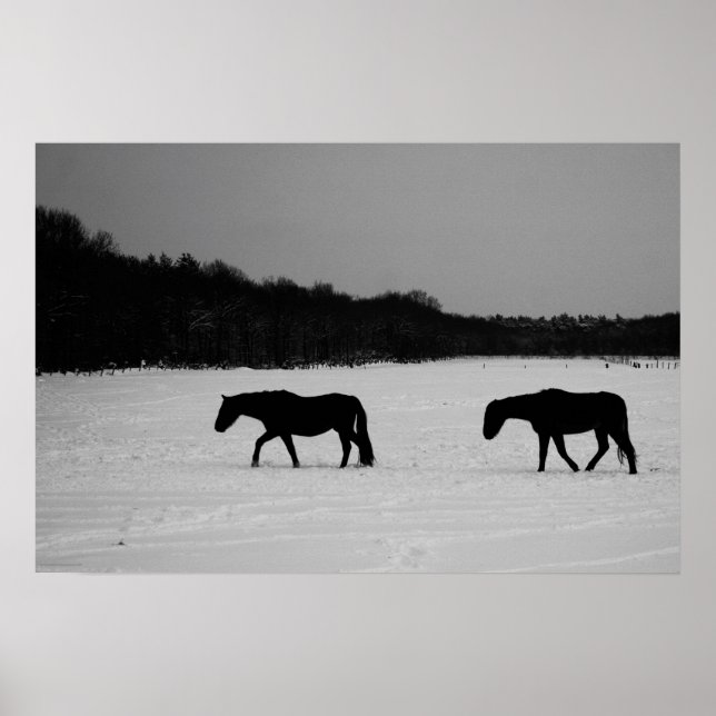 Póster Horses On Snow wapcn (Frente)