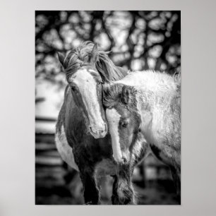 Póster Horses Print/Poster