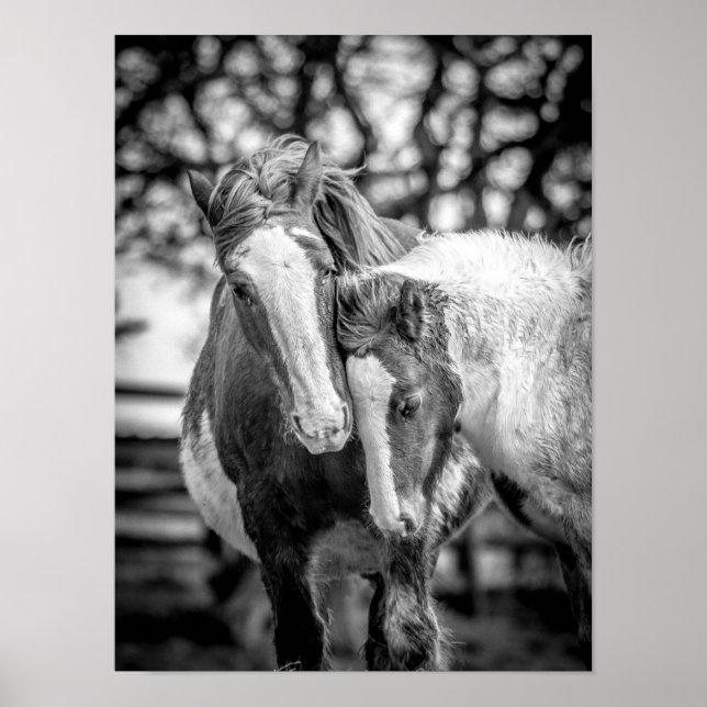 Póster Horses Print/Poster (Frente)