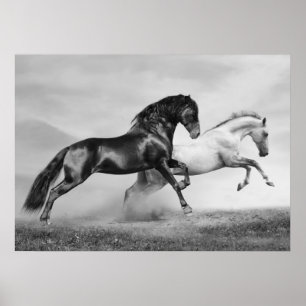 Póster Horses Run