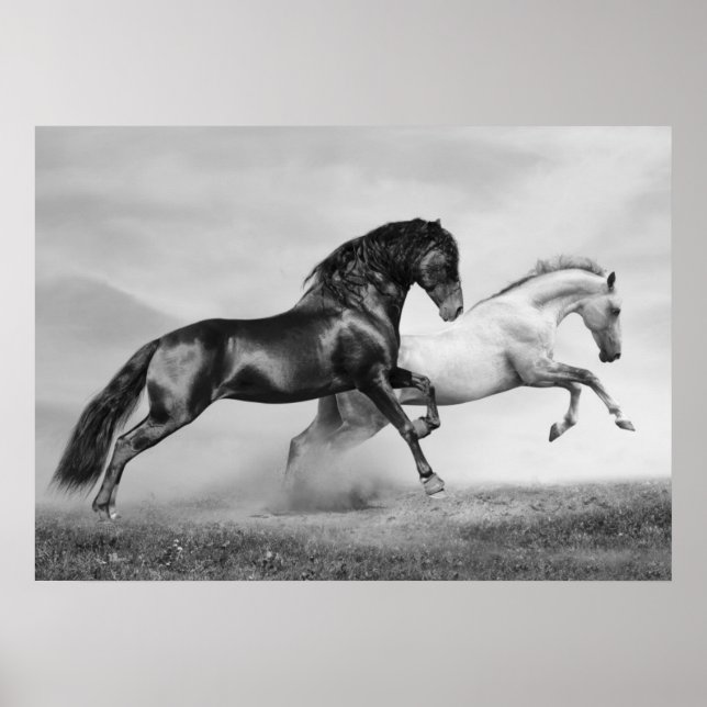 Póster Horses Run (Frente)