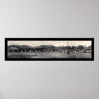 Horses Santa Anita Foto 1908