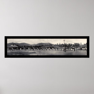 Póster Horses Santa Anita Foto 1908