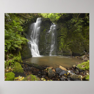 Póster Horseshoe Falls, Matai Falls