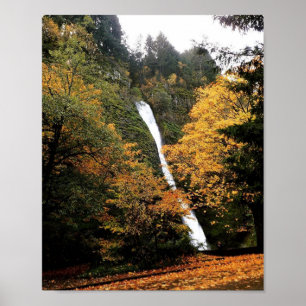 Póster Horsetail Falls, OR