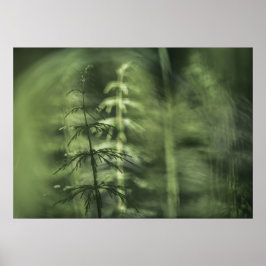 Póster Horsetail Photo green floral design 