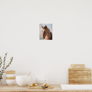 PÓSTER HORSIE POSTER