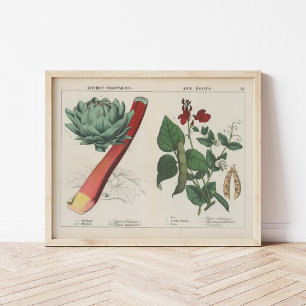 Póster Hortalizas de cocina   Charlotte Mary Yonge