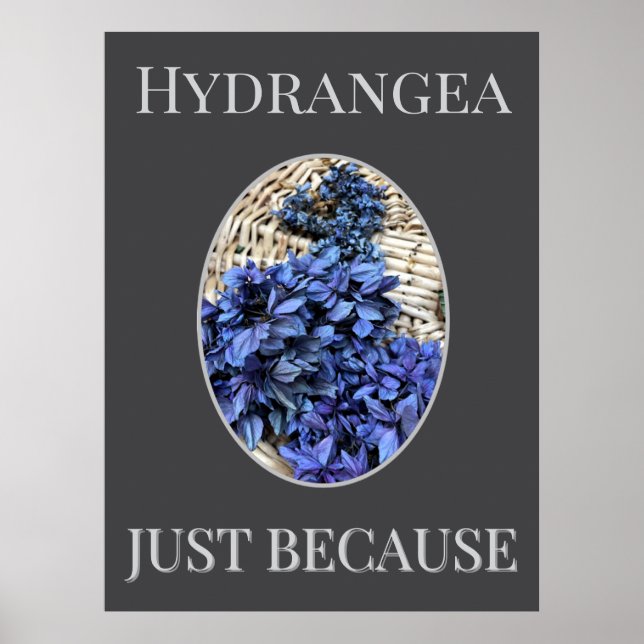 Póster Hortensia AZUL (Frente)