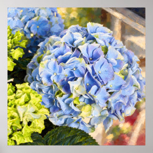 Póster Hortensia Azul Polvo Estudio Botánico Pintado