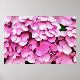 Póster Hortensia Petales rosados Resumen artístico