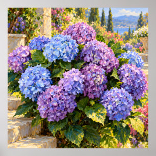 Póster Hortensias azules y lilas en un jardín costero ilu