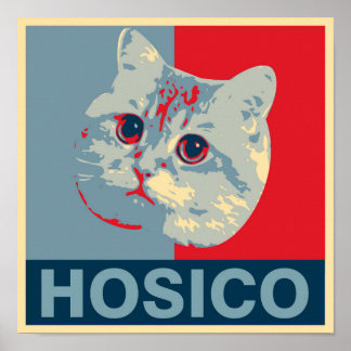 Póster Hosico - Ilustracion Azul Rojo