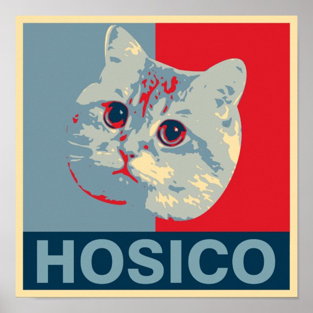 Póster Hosico - Ilustracion Azul Rojo (Frente)