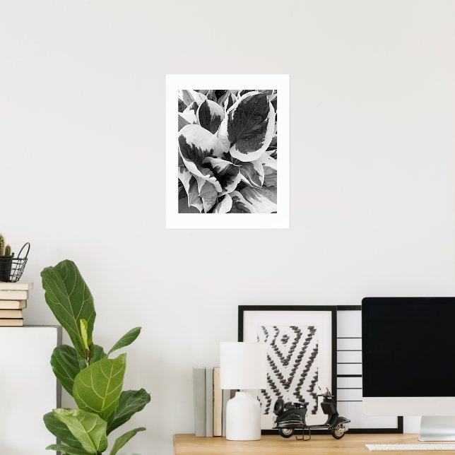 Póster Hosta Variegada Floral en Negro y Blanco (Oficina en casa)
