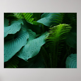 Póster Hosta y Fern Poster