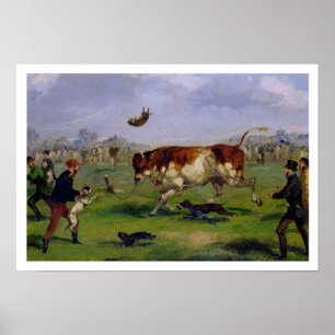 Póster Hostigamiento de Bull (aceite en el papel puesto