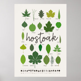Póster Hostoak ・ Hojas