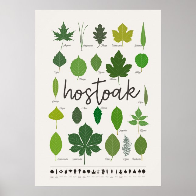 Póster Hostoak ・ Hojas (Frente)