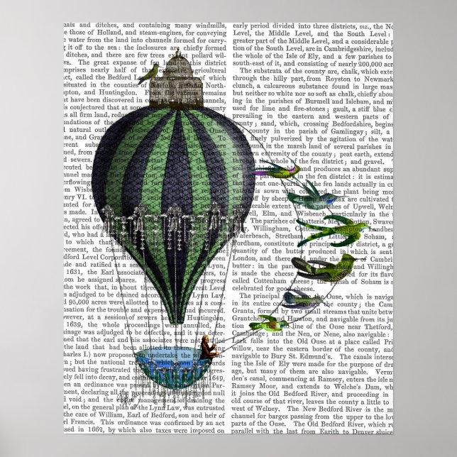 Póster Hot Air Balloon and Birds (Frente)