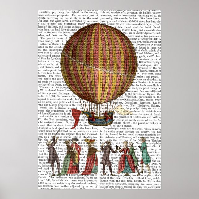Póster Hot Air Balloon And People (Frente)