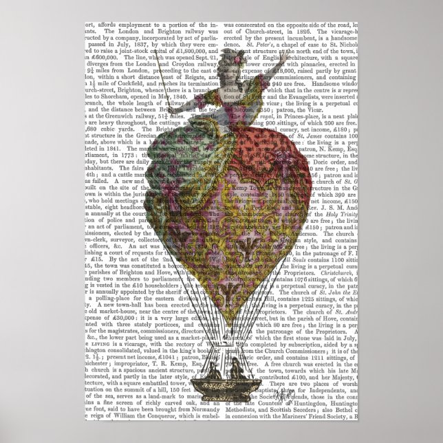 Póster Hot Air Balloon Woman (Frente)