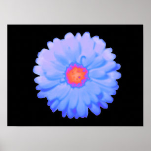 Póster Hot and Cold Marigold Poster