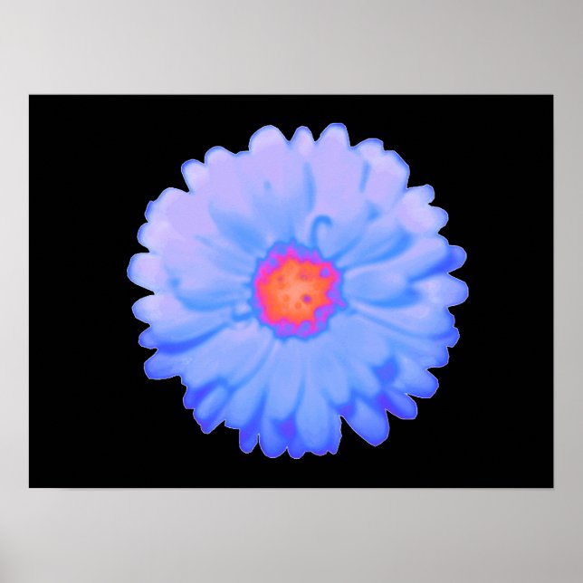 Póster Hot and Cold Marigold Poster (Frente)