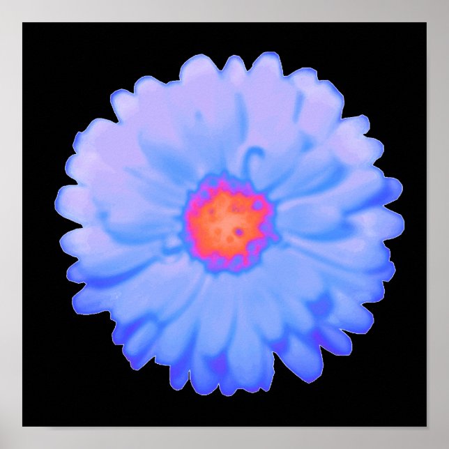 Póster Hot and Cold Marigold Poster (Frente)
