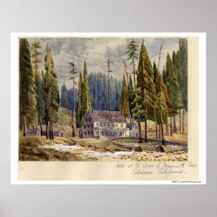 Póster Hotel en el bosque de Mamoth Trees