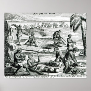 Póster Hottentots