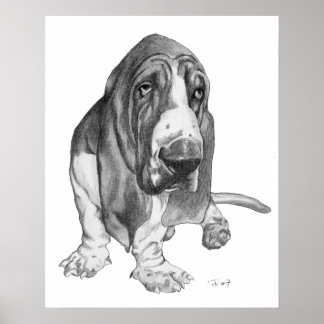 Póster Hound Basset
