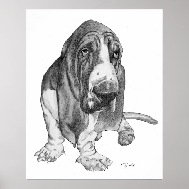 Póster Hound Basset (Frente)